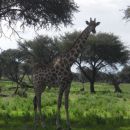 Namibia 02.2012. 140